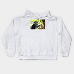 Koala At Lunch Kids Hoodie